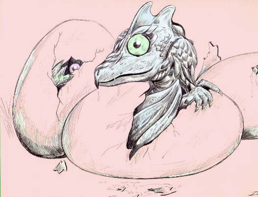 baby drac